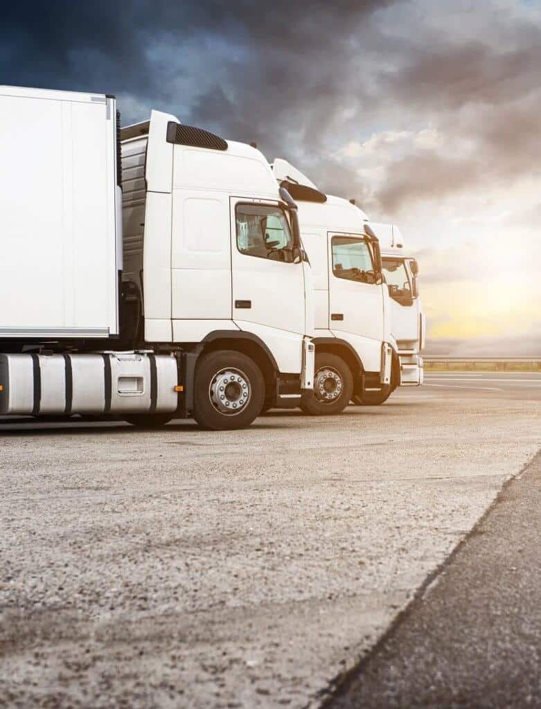 Fleet of white trucks