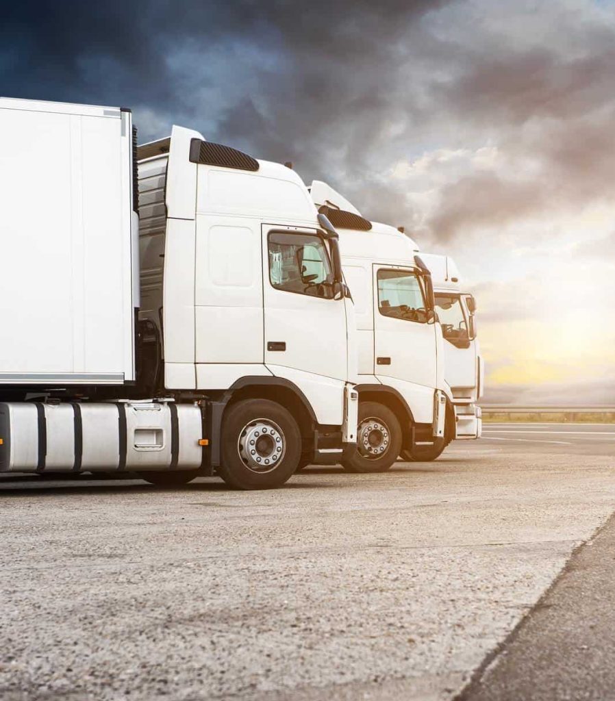 Fleet of white trucks