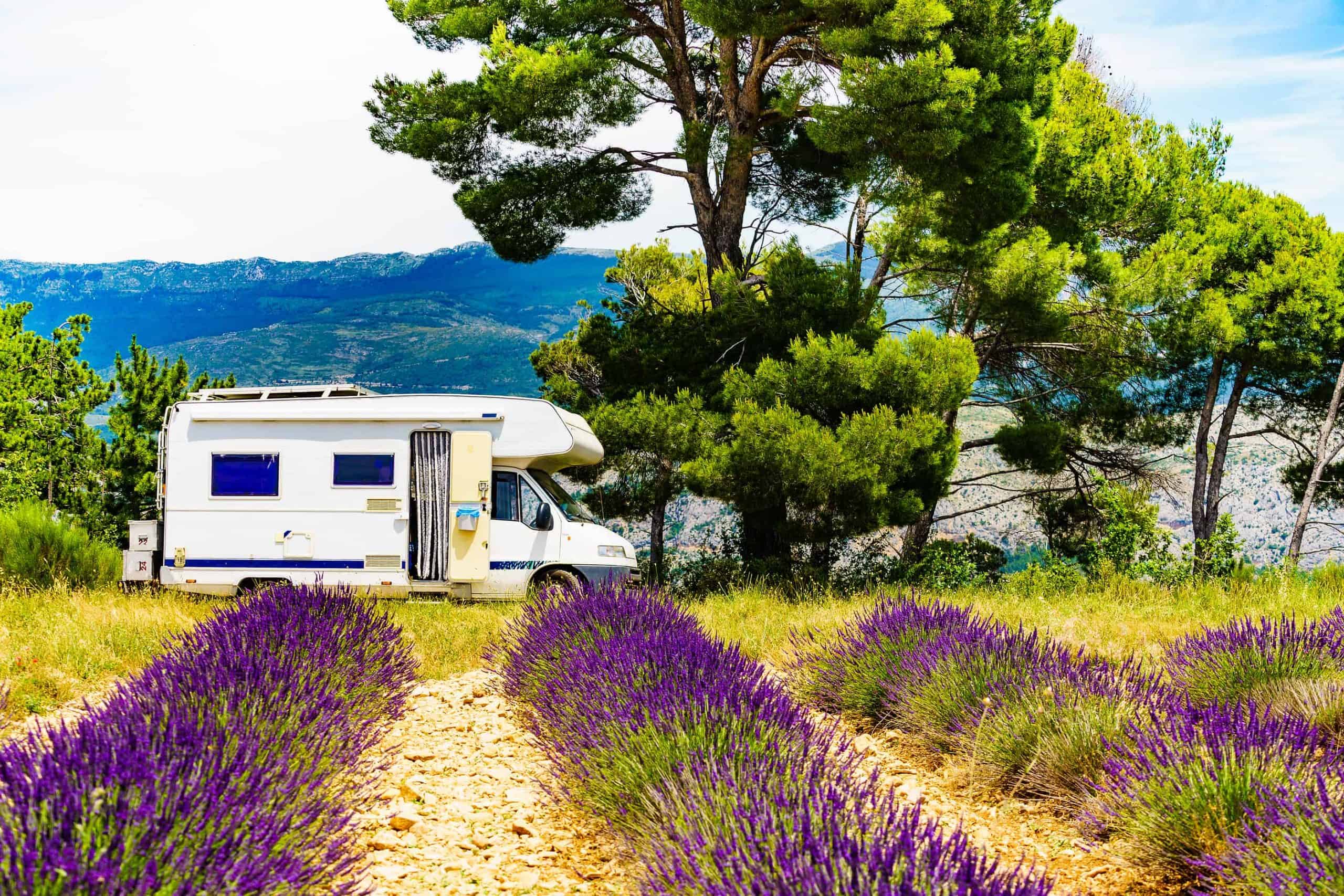 Motorhome in field of flowers