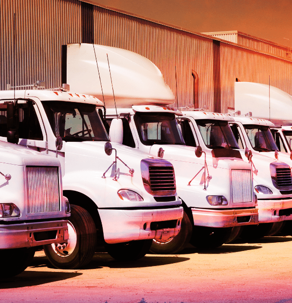 Fleet of lorries