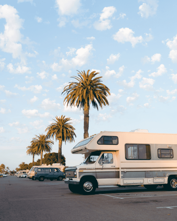 Motorhome under palm trees