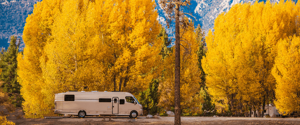 Motorhome and autumn trees